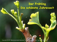 Gedicht-Frühling.pdf